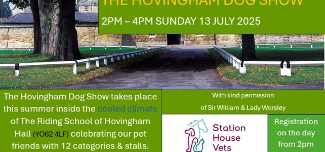 The Hovingham Dog Show